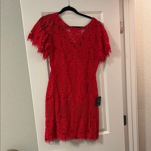 Lulu's Vibrant Red Lace Mini Dress